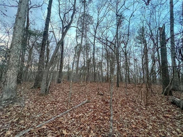 0zz Kelly Bridge Road, Dawsonville, GA 30534