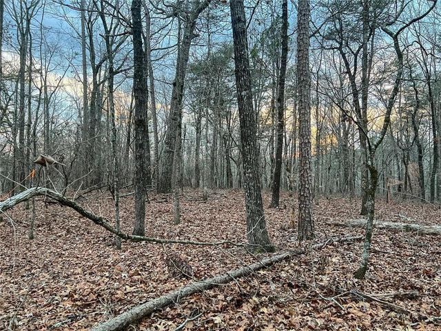 0zz Kelly Bridge Road, Dawsonville, GA 30534