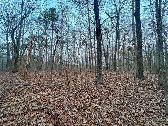 0zz Kelly Bridge Road, Dawsonville, GA 30534