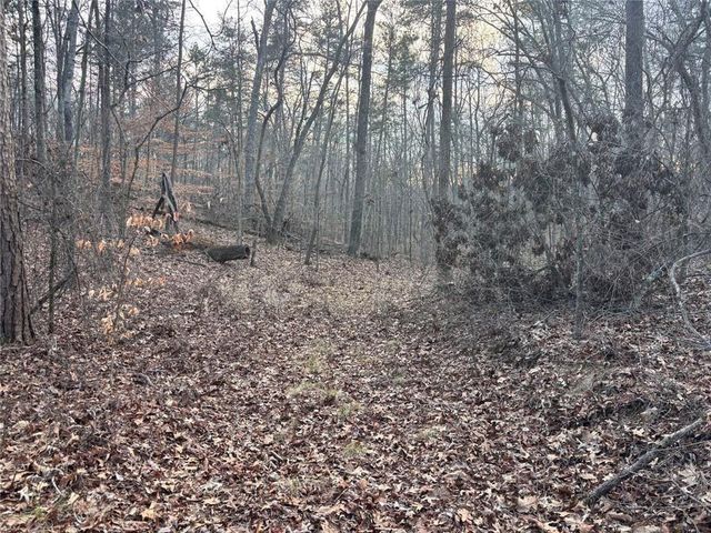 0zz Kelly Bridge Road, Dawsonville, GA 30534