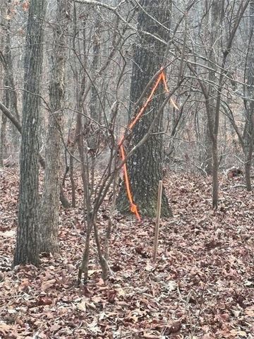 0zz Kelly Bridge Road, Dawsonville, GA 30534