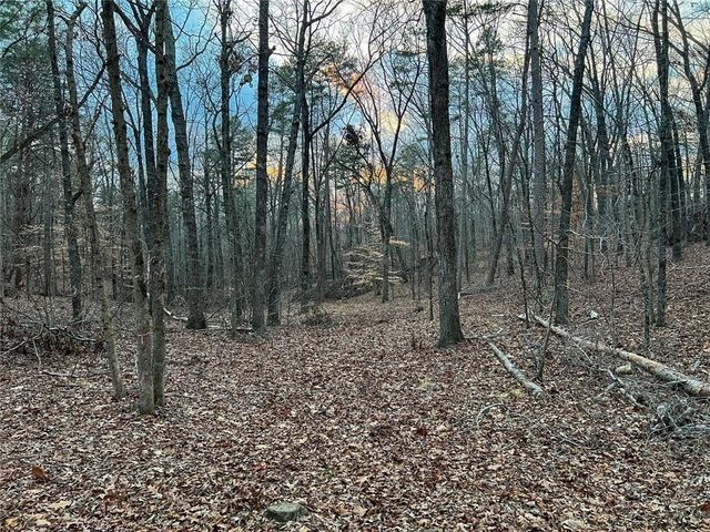 0zz Kelly Bridge Road, Dawsonville, GA 30534