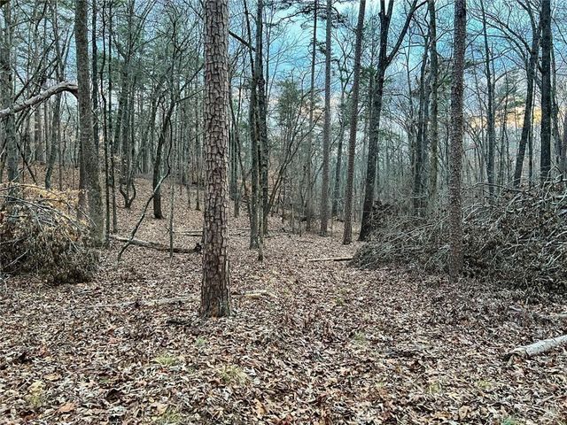 0zz Kelly Bridge Road, Dawsonville, GA 30534