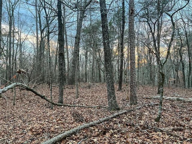 0zz Kelly Bridge Road, Dawsonville, GA 30534