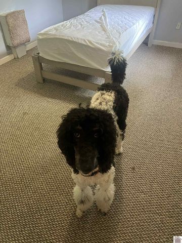 2237 Little Cypress Road, Calvert City, KY 42029