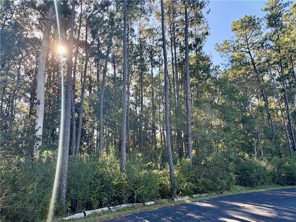 0 Higgins Road, Mobile, AL 36619 — photo 5