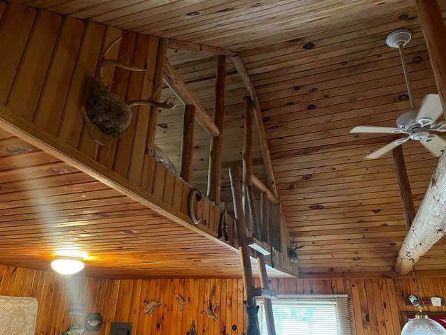 E 3946 Storm Road, Chatham, MI 49816