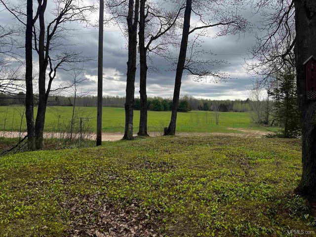 E 3946 Storm Road, Chatham, MI 49816