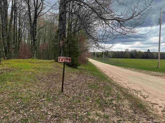 E 3946 Storm Road, Chatham, MI 49816