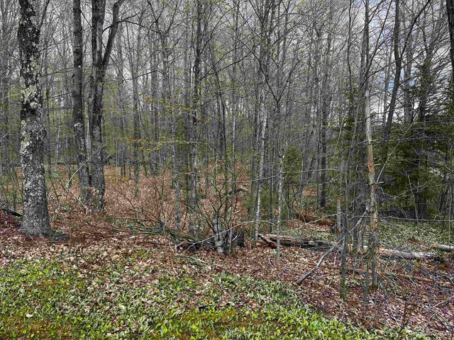 E 3946 Storm Road, Chatham, MI 49816