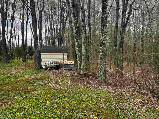 E 3946 Storm Road, Chatham, MI 49816