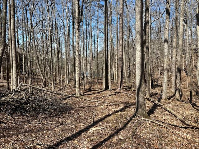 Lt2340 Tamarack Drive, Jasper, GA 30143