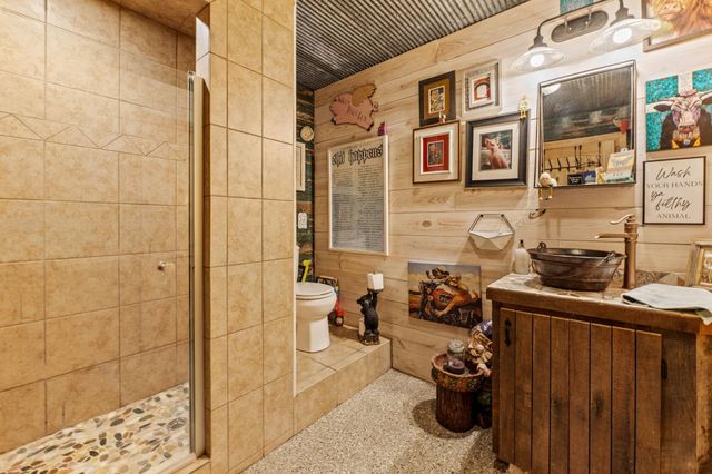 203 Chipmunk Trail, Shepherd, TX 77371