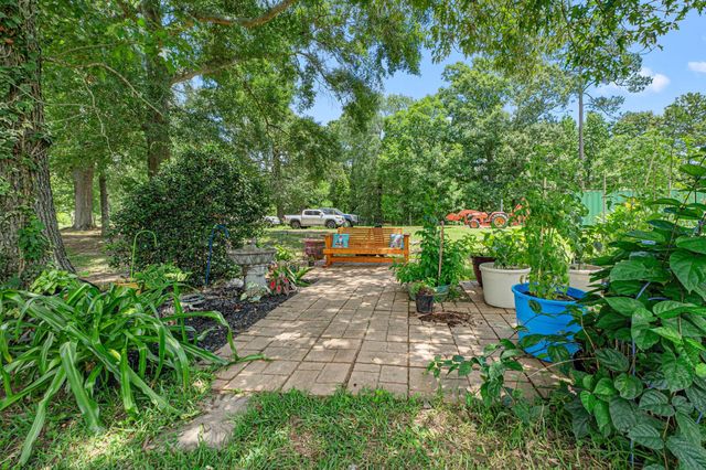 203 Chipmunk Trail, Shepherd, TX 77371