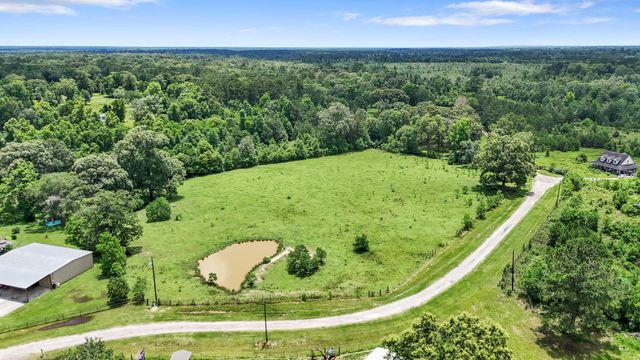 203 Chipmunk Trail, Shepherd, TX 77371