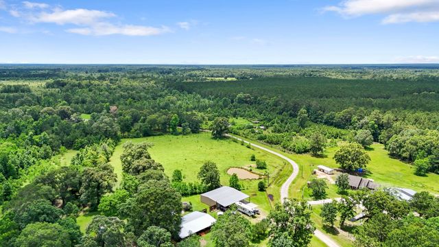 203 Chipmunk Trail, Shepherd, TX 77371