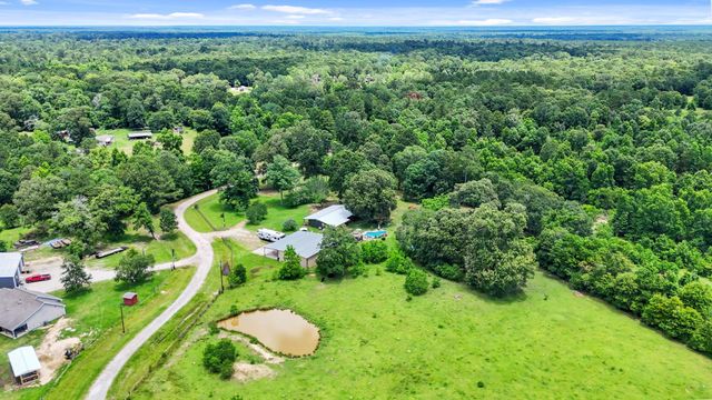 203 Chipmunk Trail, Shepherd, TX 77371