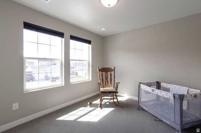 2949 S GRAHAM PEAK DR, Magna, UT 84044