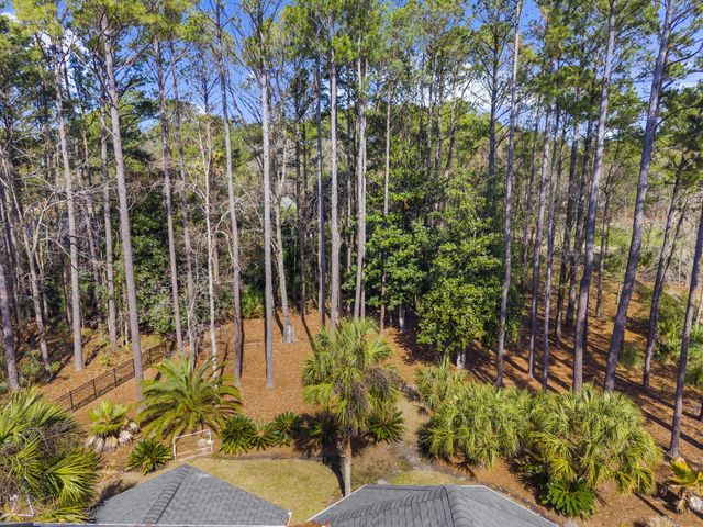 1779 Shell Ring Circle, Mount Pleasant, SC 29466