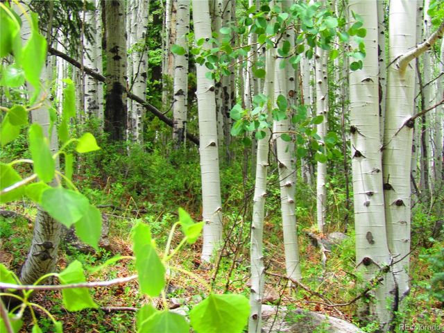 LOT 6295 Malcolm Road, San Luis, CO 81152