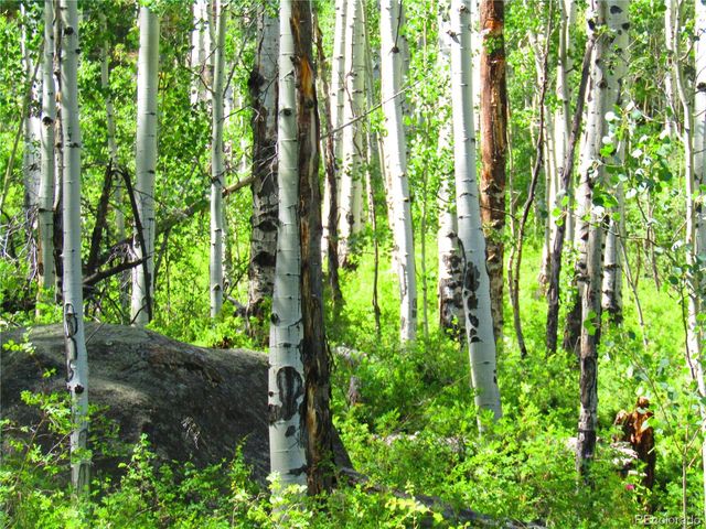 LOT 6295 Malcolm Road, San Luis, CO 81152