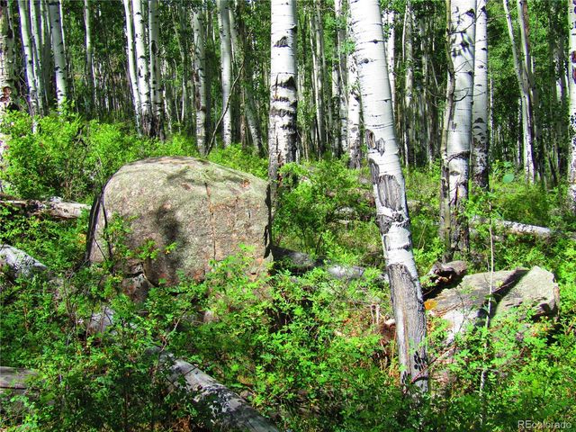 LOT 6295 Malcolm Road, San Luis, CO 81152