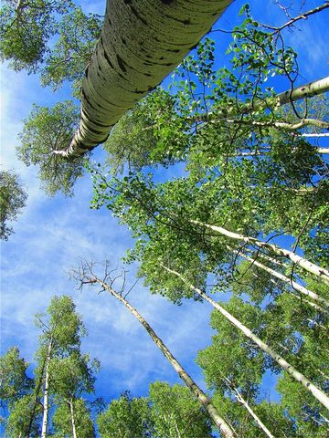 LOT 6295 Malcolm Road, San Luis, CO 81152