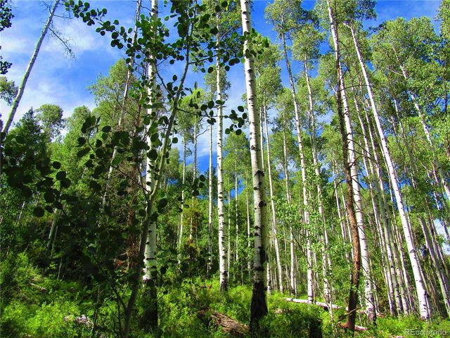 LOT 6295 Malcolm Road, San Luis, CO 81152