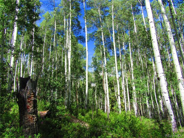 LOT 6295 Malcolm Road, San Luis, CO 81152