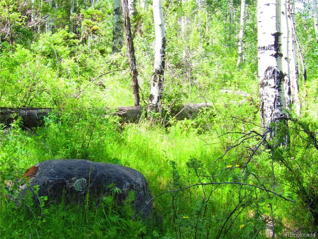 LOT 6295 Malcolm Road, San Luis, CO 81152