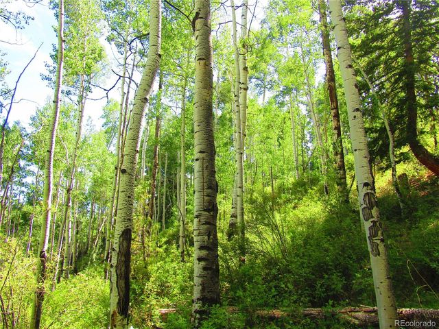 LOT 6295 Malcolm Road, San Luis, CO 81152