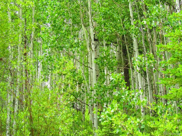 LOT 6295 Malcolm Road, San Luis, CO 81152