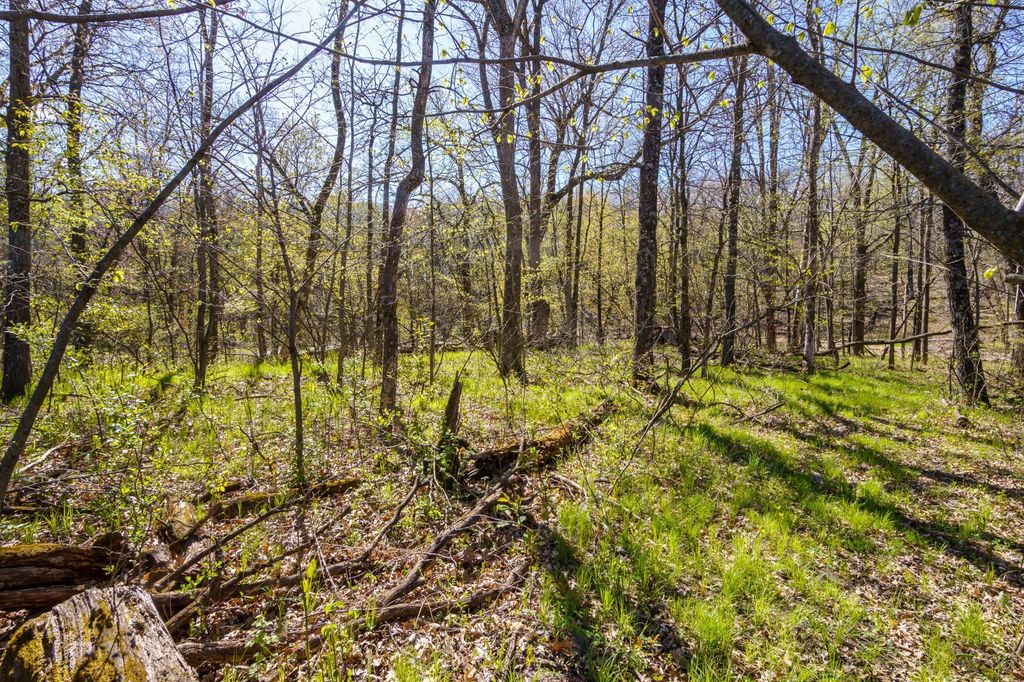 Block A XXX, Oak Grove, MN 55070 — photo 4