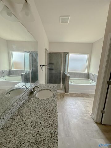 13027 Lantern Pointe Way, Harvest, AL 35749