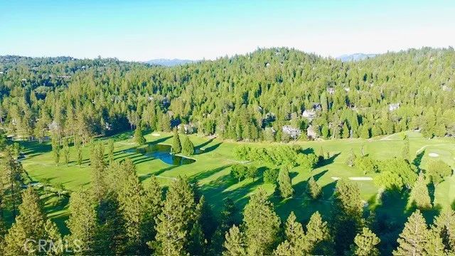 360 Riviera Drive, Lake Arrowhead, CA 92352
