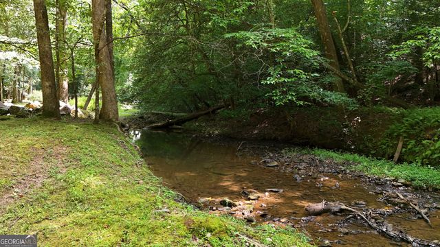 187 Still Water Way, Demorest, GA 30535