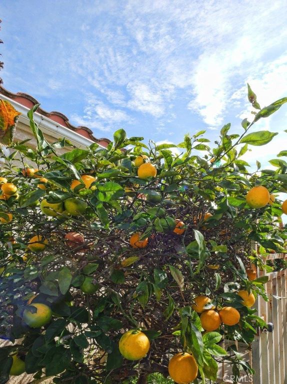 Image 19 of property listing at 3815 W 190th Street, Torrance, CA 90504