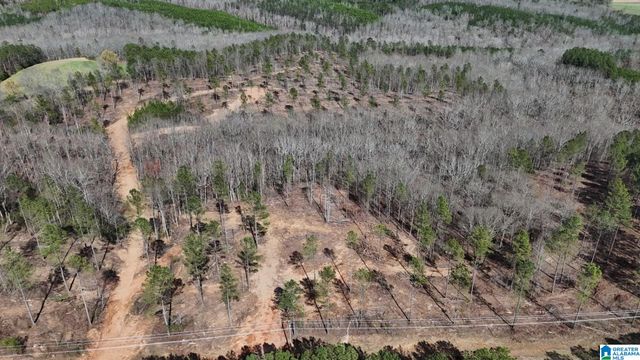 Tract 8 COUNTY ROAD 268, Roanoke, AL 36274