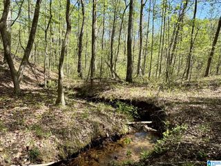 Tract 8 COUNTY ROAD 268, Roanoke, AL 36274