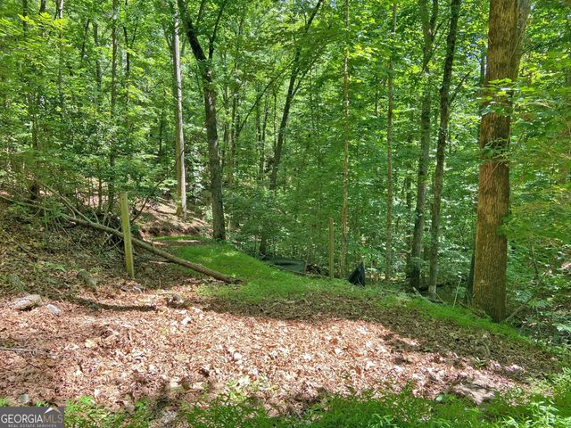 2.4AC Old River Road, Dahlonega, GA 30533