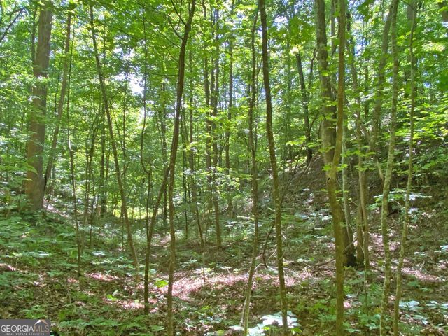 2.4AC Old River Road, Dahlonega, GA 30533