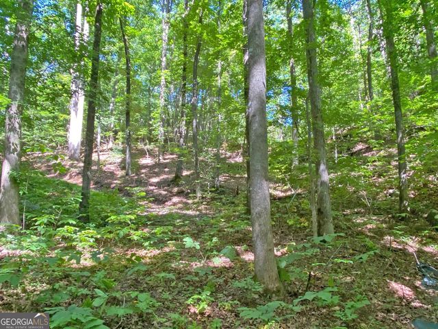 2.4AC Old River Road, Dahlonega, GA 30533