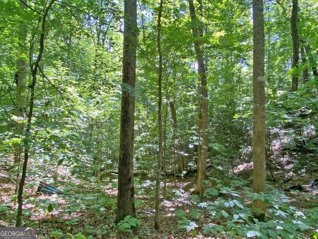 2.4AC Old River Road, Dahlonega, GA 30533