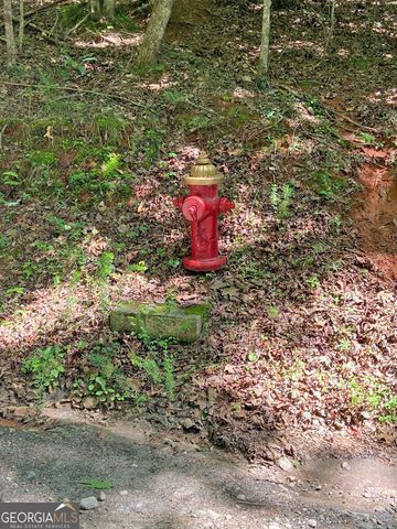 2.4AC Old River Road, Dahlonega, GA 30533