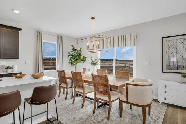 283 Snowdrop Lane, Elgin, IL 60124