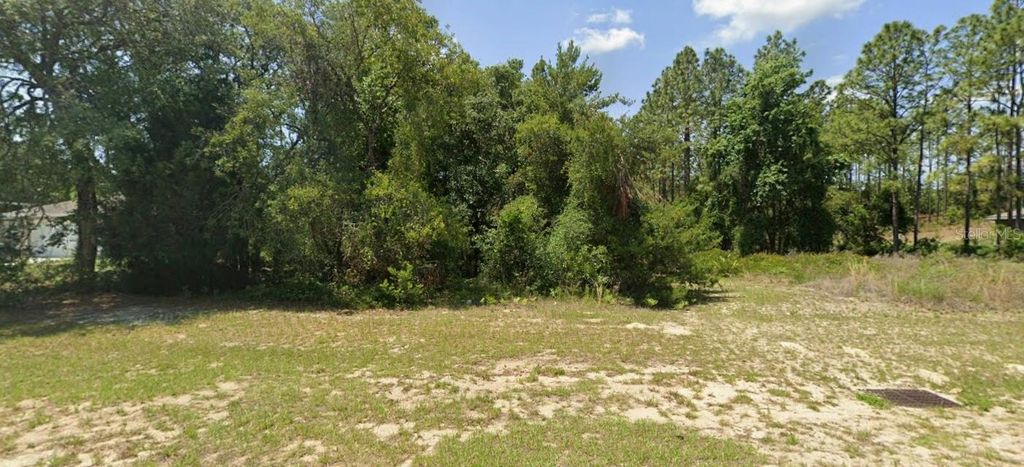 TBD SW 135 STREET, Ocala, FL 34473