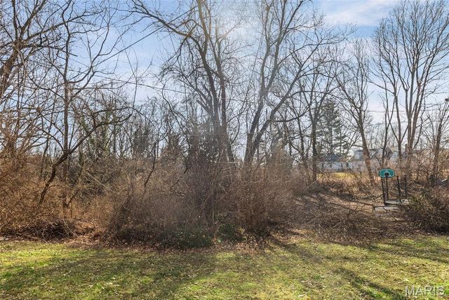 102 N 81st, Belleville, IL 62223