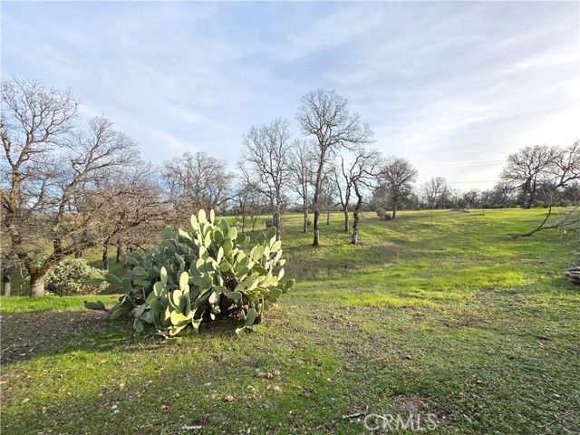 17695 Dolores Dr, Cottonwood, CA 96022