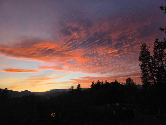 2587 Woodland Park Road, Grants Pass, OR 97527