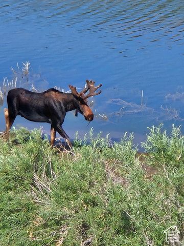 46071 W THUNDER RIDGE RD, Fruitland, UT 84027